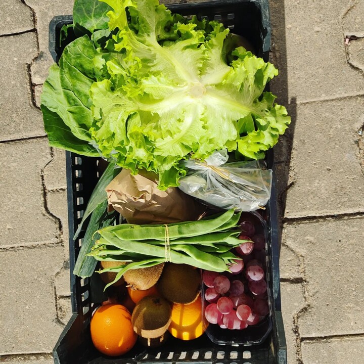 396702331_715582097265870_8215662129045332973_n.jp