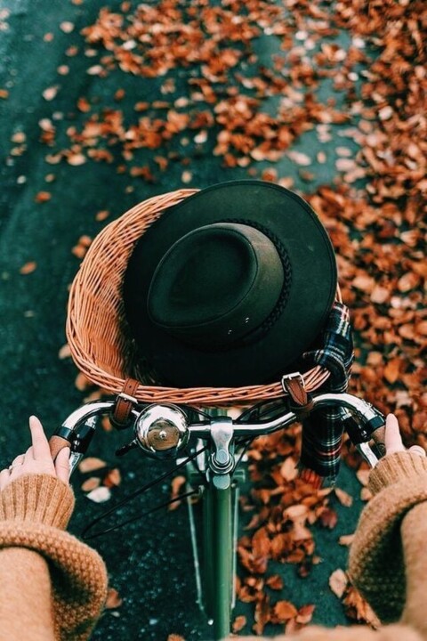 O Inverno está a chegar.jpg