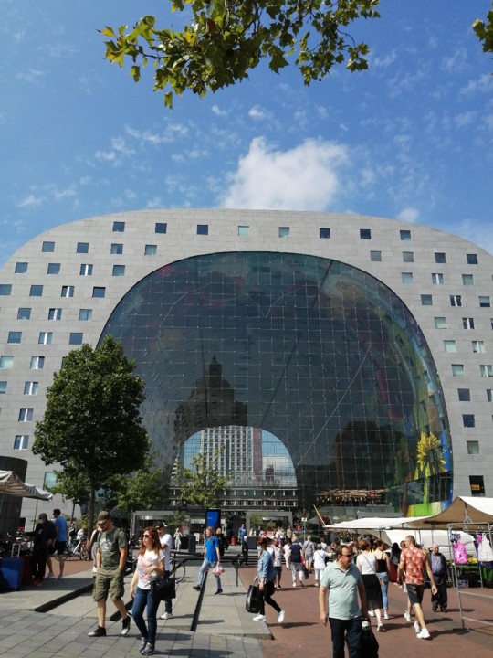 IMG_20200718_114154.jpg IMG_20200718_114154.jpg