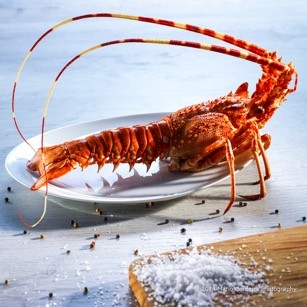 Lagosta Inteira7.jpeg