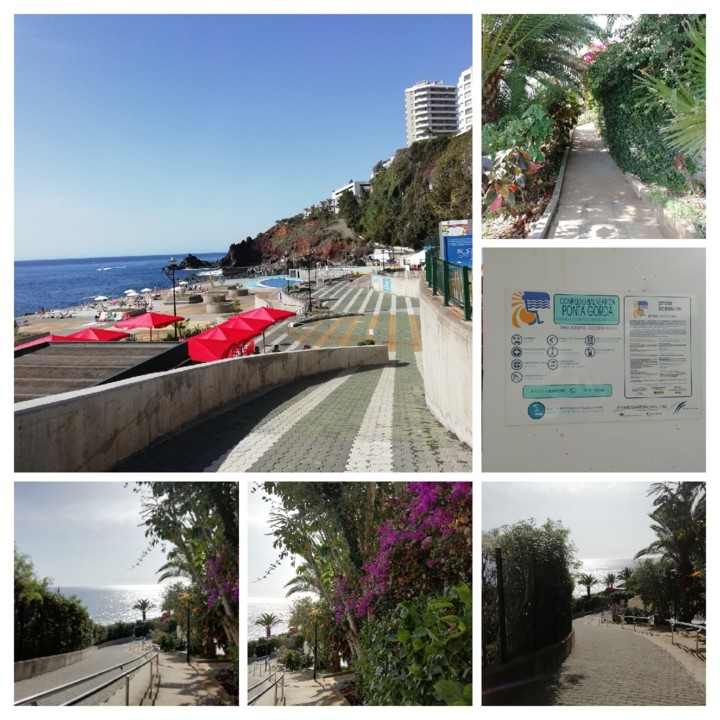 IMG_20201101_112719-COLLAGE.jpg IMG_20201101_112719-COLLAGE.jpg