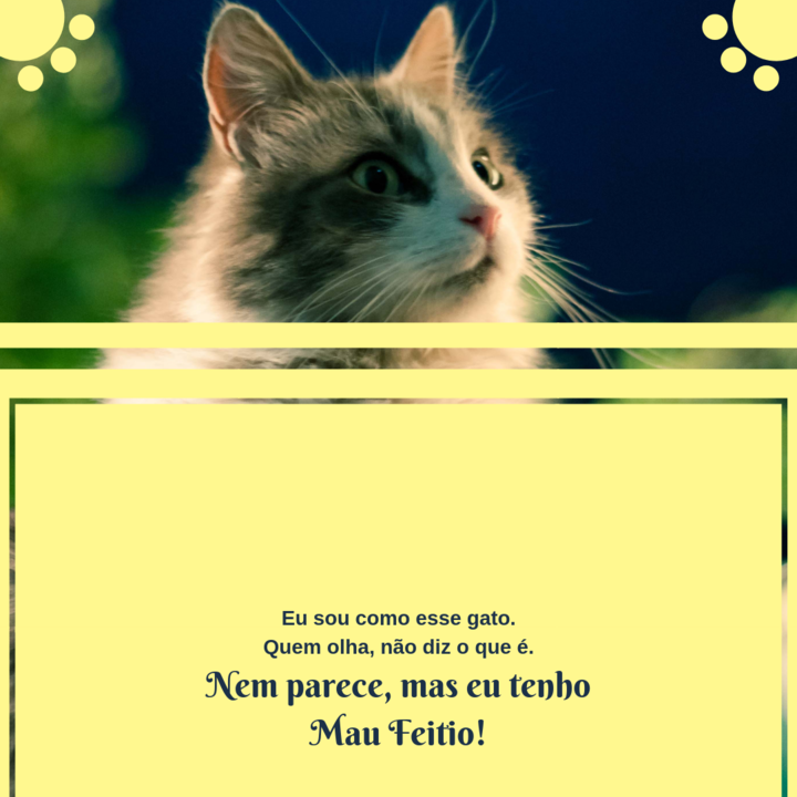 Como culpar o vento pela desordem feita se fui eu 