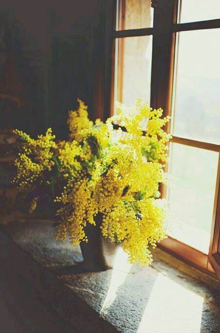 29695439_1876681975689701_3929800214877998776_n.jp