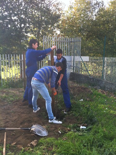 fotografia 1 (2).JPG