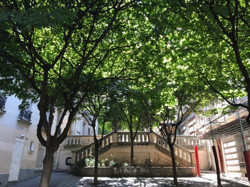 Primeira Casa da Rua em Paris (8).JPG Primeira Casa da Rua em Paris (8).JPG