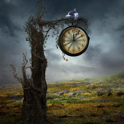 The colours of Nature (página).jpg