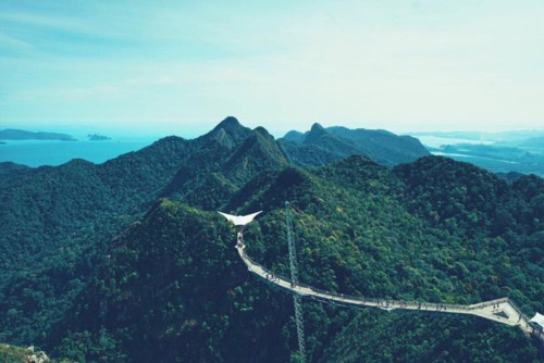 29472793_10216032638478842_2270009392688529408_n.j