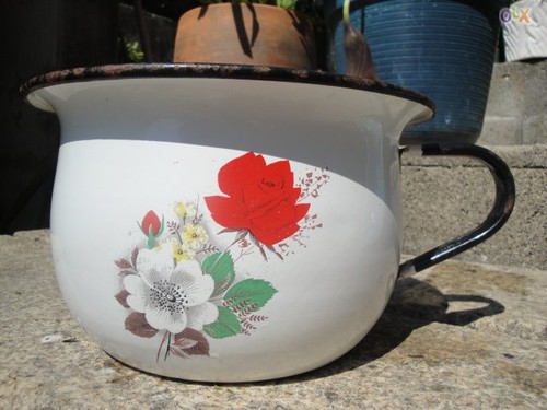 pinico.jpg pinico.jpg