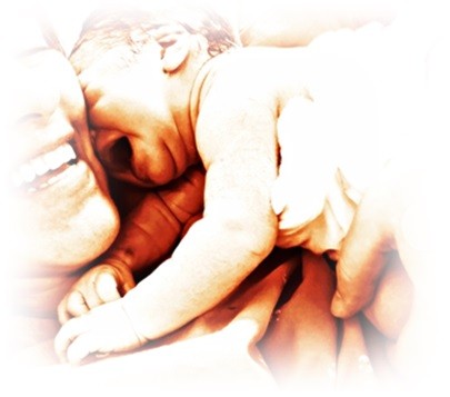 P1090372 trab.JPG P1090372 trab.JPG