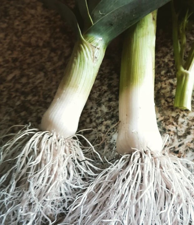 278616252_2289035127902902_1457868055655354003_n.j