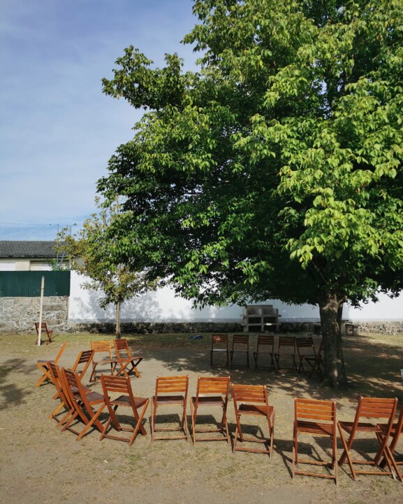 Cadeiras de madeira dispostas em círculo por baixo de uma grande árvore