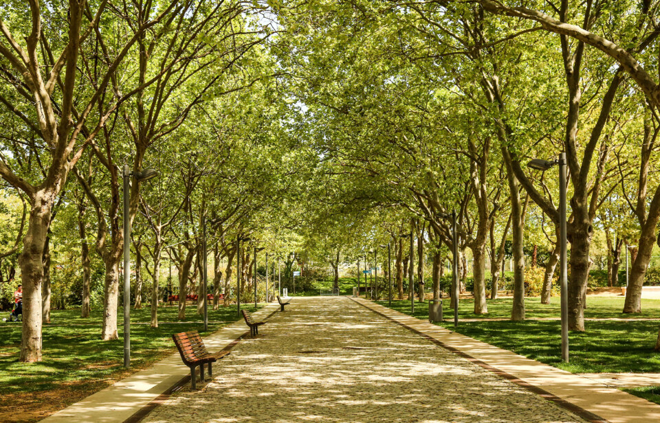 Parque Municipal de Loulé.jpg