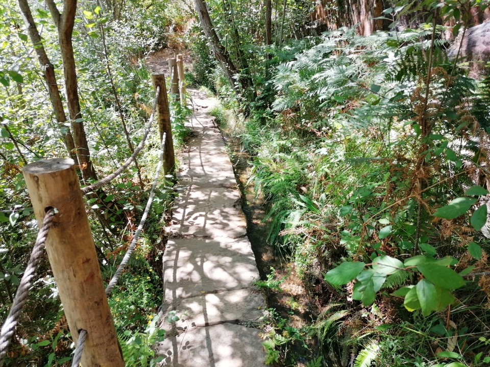 IMG_20200813_143518.jpg IMG_20200813_143518.jpg