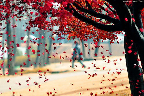 INSPIRAÇÕES DE OUTONO_FOTO12.jpg