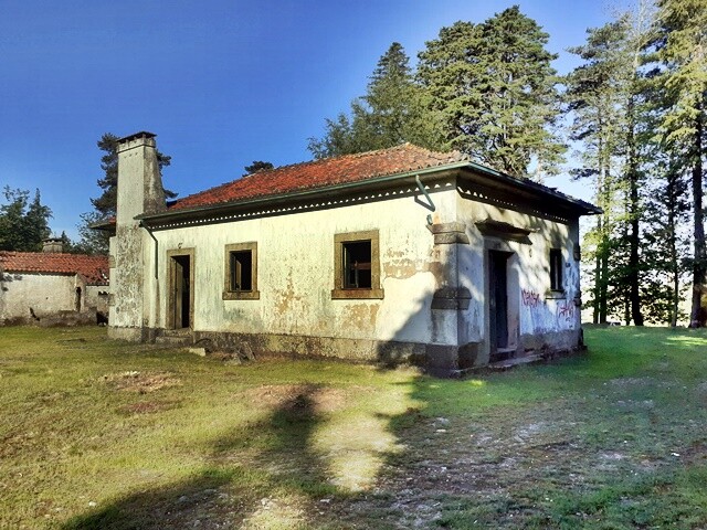 11a_Serra_da_Freita (21).jpg