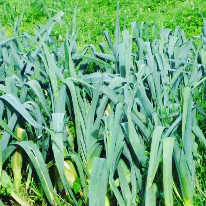 475433811_18459076462066958_4610493328943181603_n.