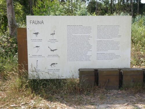 P1044620.JPG