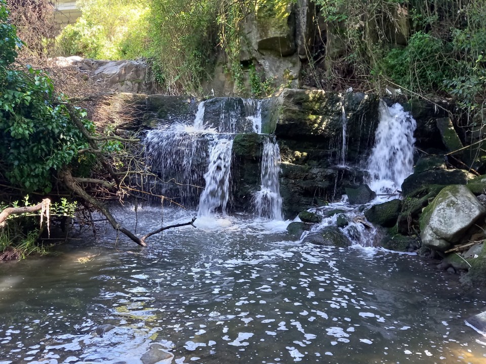 20210418_151350.jpg 20210418_151350.jpg