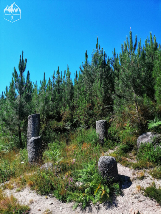 Photo_1598340754395.jpg Photo_1598340754395.jpg