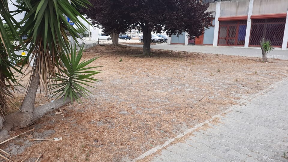 369723953_10226604768484015_2251009875639385281_n.