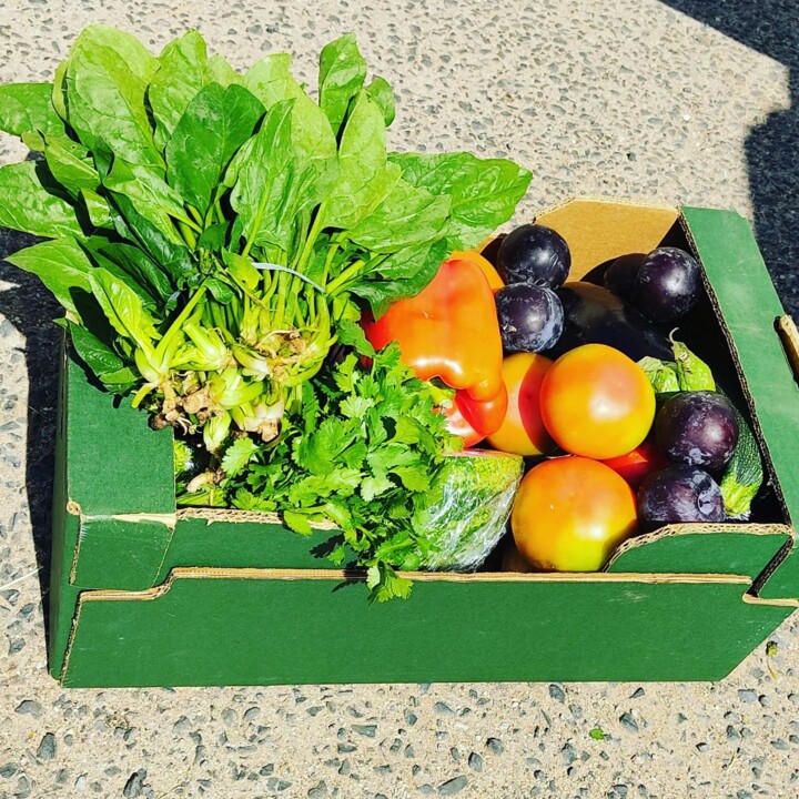 293273606_2362636423876105_3296221548828971156_n.j