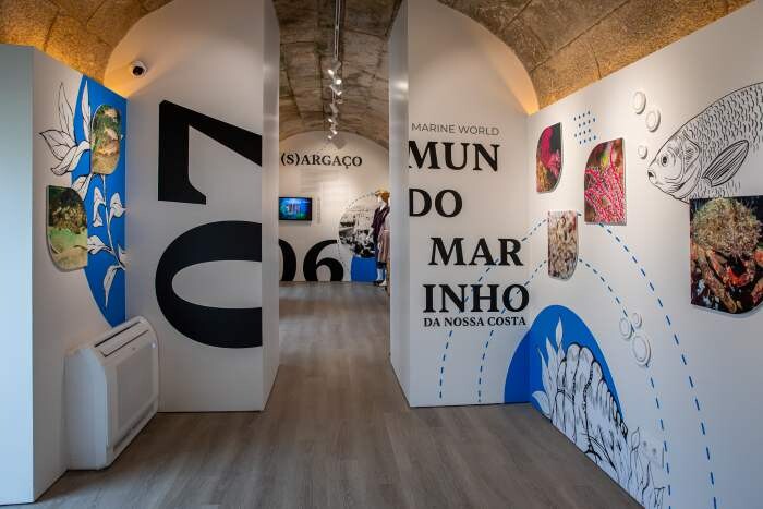 524145307_1351632043674572_6786035406320397565_n.j