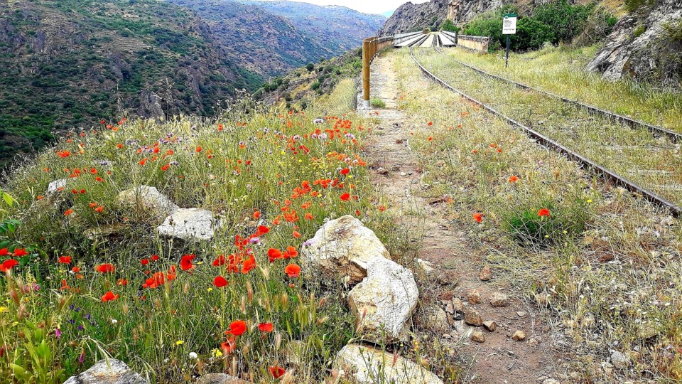 20200420_001621.jpg 20200420_001621.jpg