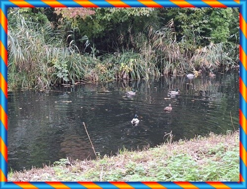 11a_Continuação_Aniversário_da_Bia (6).jpg