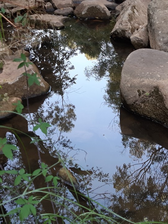 20200722_174856.jpg 20200722_174856.jpg