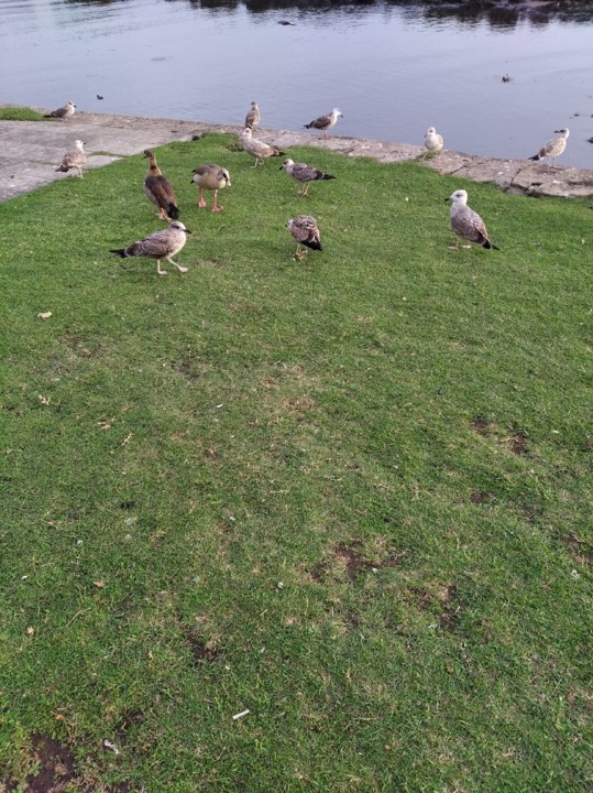 IMG_20211030_174618 (1).jpg