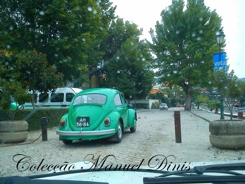 Rota do Moscatel Favaios 2015 (355).jpg