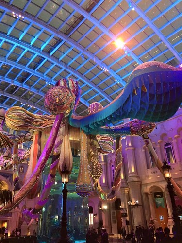 10987429_954486724569058_3865263909437587560_n.jpg 10987429_954486724569058_3865263909437587560_n.jpg