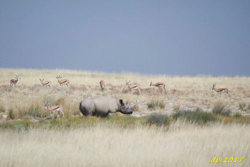 SAM_9761.JPG SAM_9761.JPG