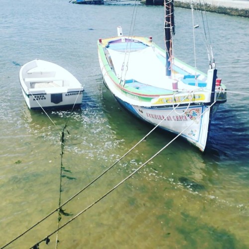 37284650_1151163531690073_5259895921692377088_n.jp