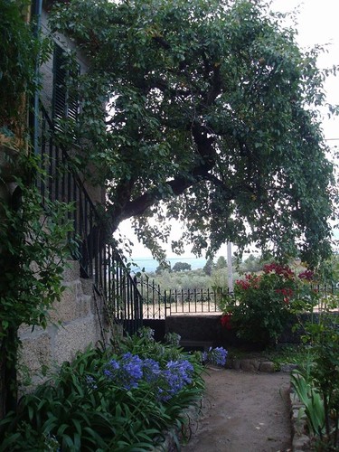 ALDEIA..jpg