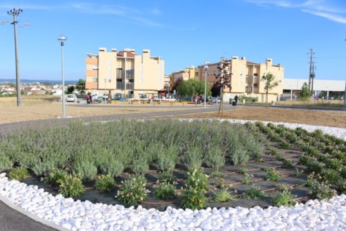 IMG_4699_800x533.JPG IMG_4699_800x533.JPG