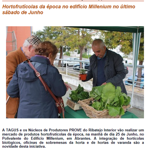 hortaliça.png