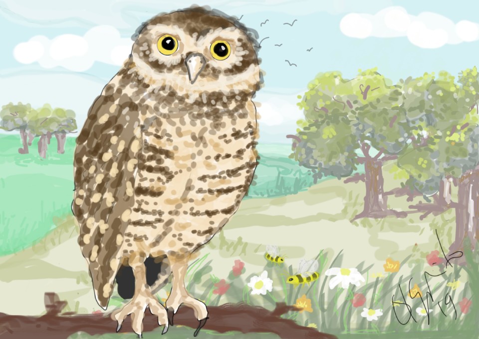 mocho 3.jpg mocho 3.jpg