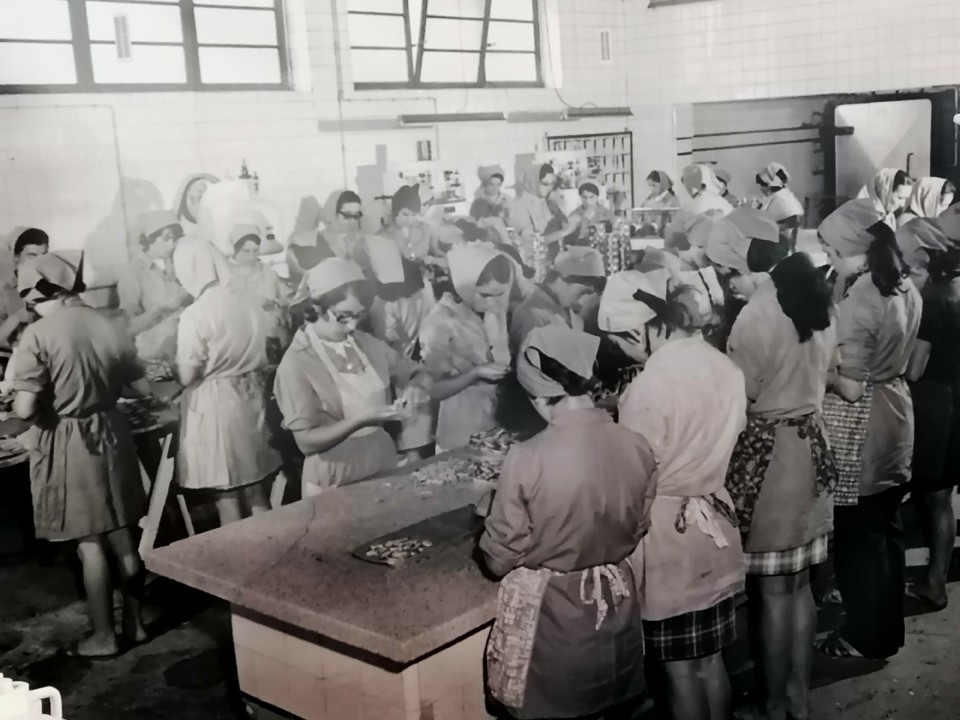 IMG_20200927_170900.jpg IMG_20200927_170900.jpg