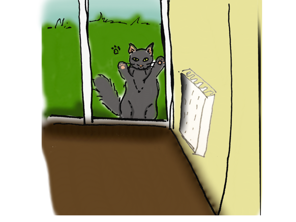 61610289568__32C042D0-B873-49A1-B97E-E800964A2F37. 61610289568__32C042D0-B873-49A1-B97E-E800964A2F37.