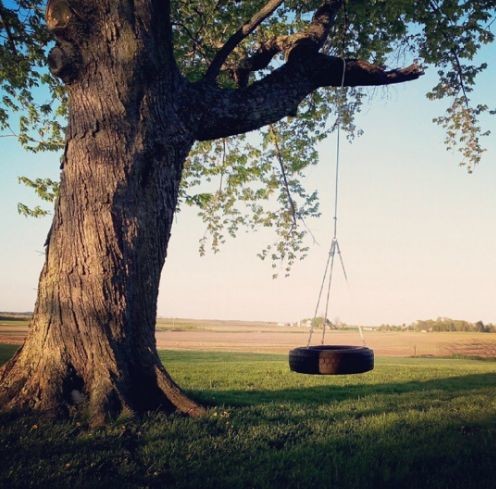 tree.jpg