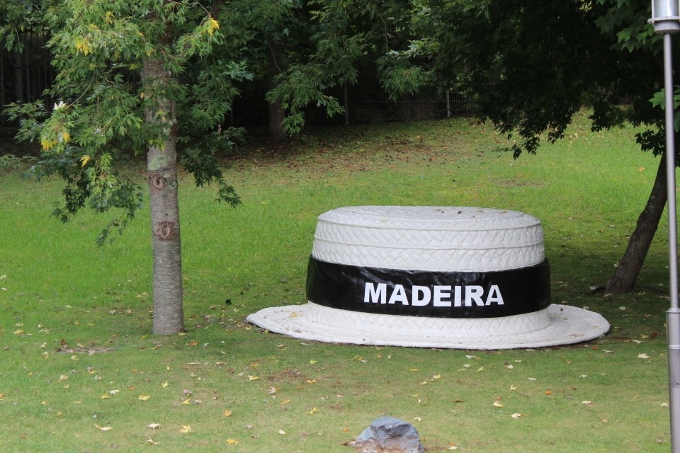 20190927132455_IMG_0042_resized_20191016_083308246