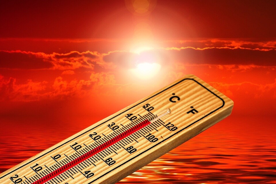 thermometer-4767444_1280.jpg