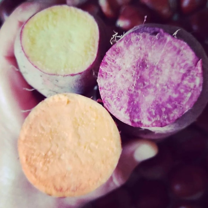 272666957_2223961994410216_1678048899608010648_n.j