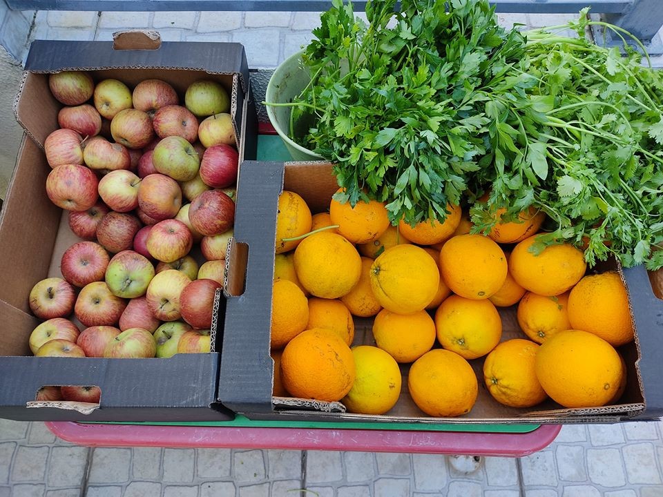 98174424_1708740032599084_9160480474257162240_o.jp