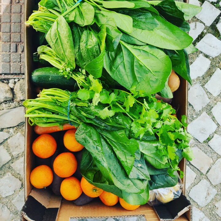 467401872_960022526155158_8195432970484609952_n.jp