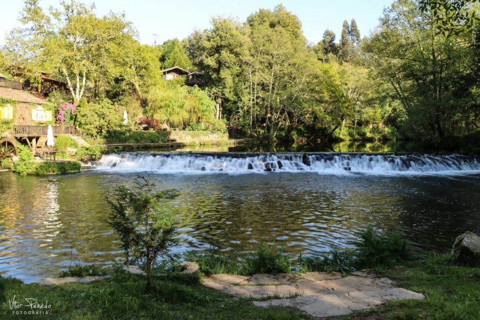 177770328_3916244181758850_2740668057618752469_n.j