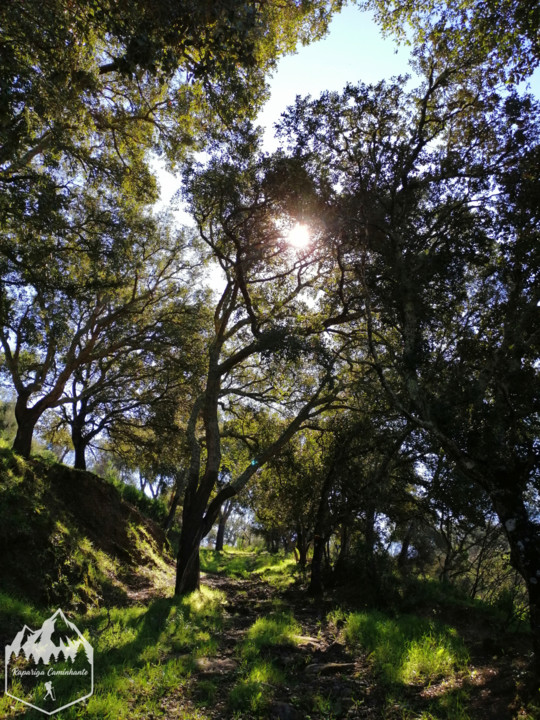 Photo_1583864118230.jpg Photo_1583864118230.jpg