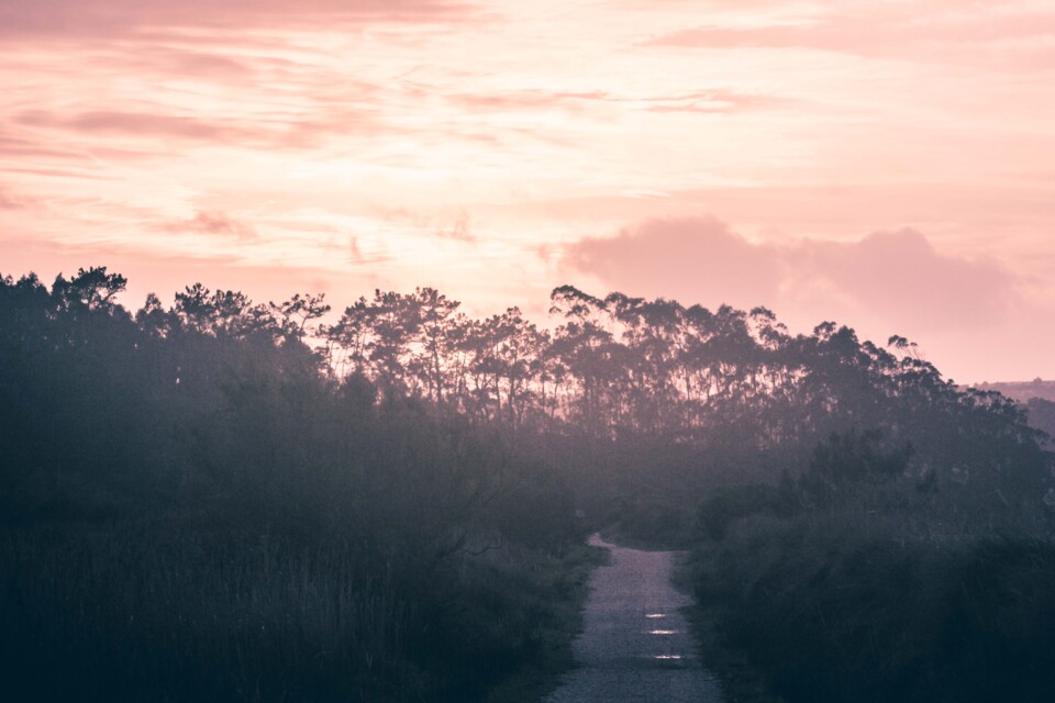 lagoa de obidos 8.jpg