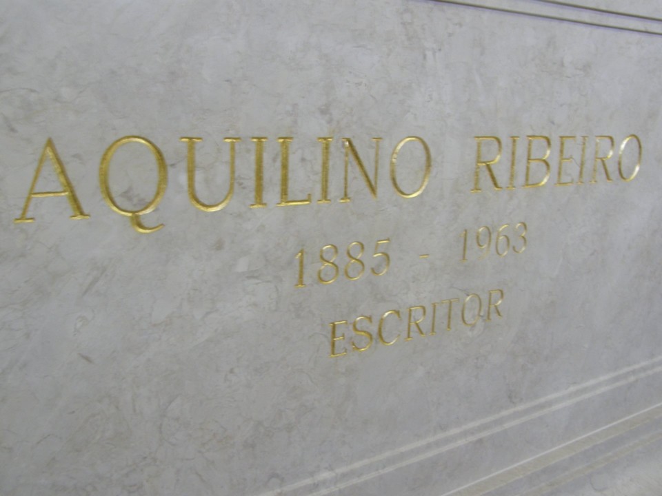 241819898_2324370297700408_864966635002677175_n.jp